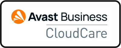 AVAST BUSINESS: CUIDADO DE LA NUBE